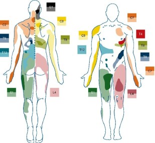 kiropraktiikka, kiropraktikko, fysioterapia, fysioterapeutti, jyvaskyla, jkl, aanekoski